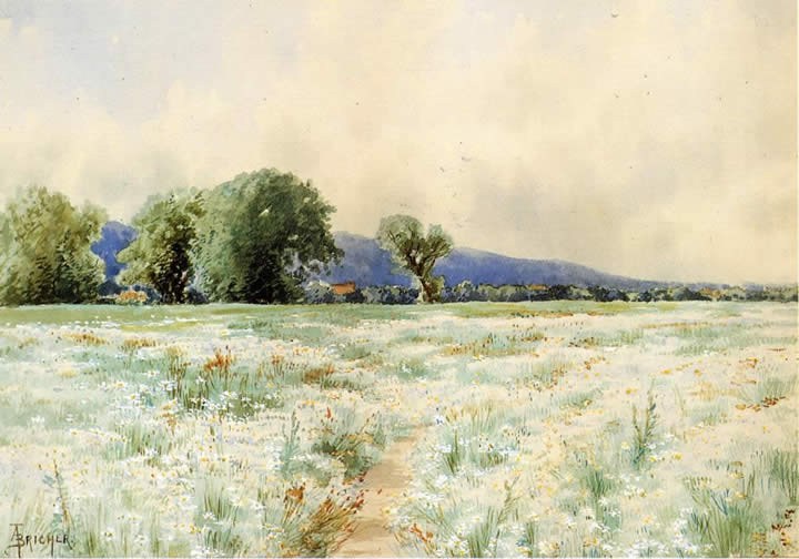 Alfred Thompson Bricher The Daisy Field